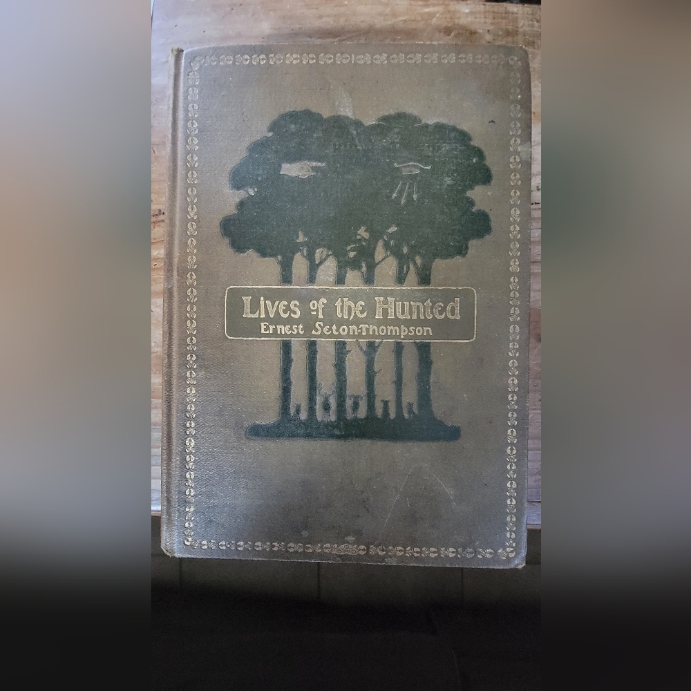 Antique 1900s Book
